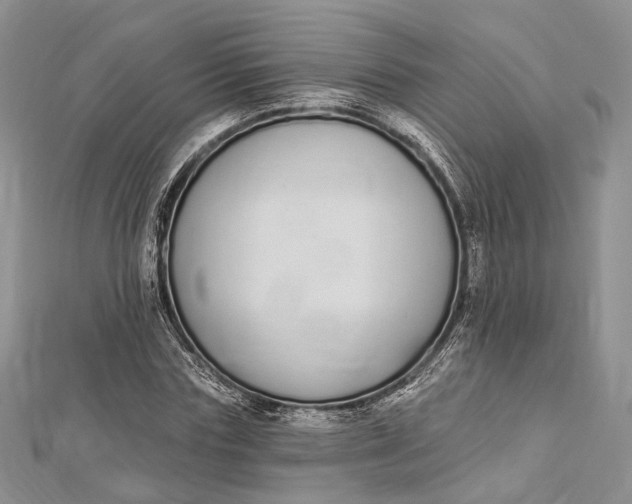 X0000112500827200908311450