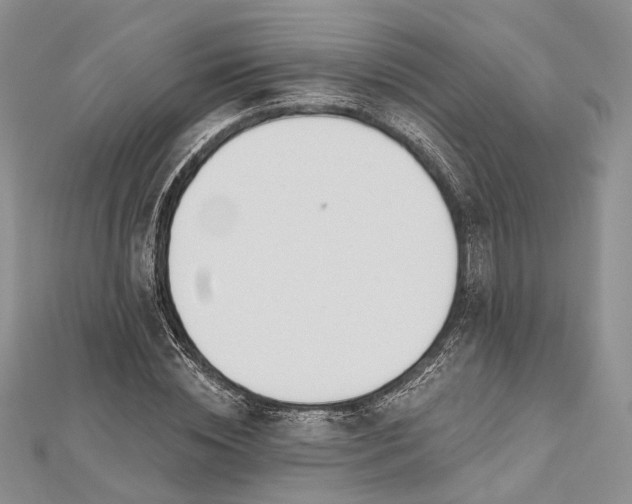 X0000112500828200908311450