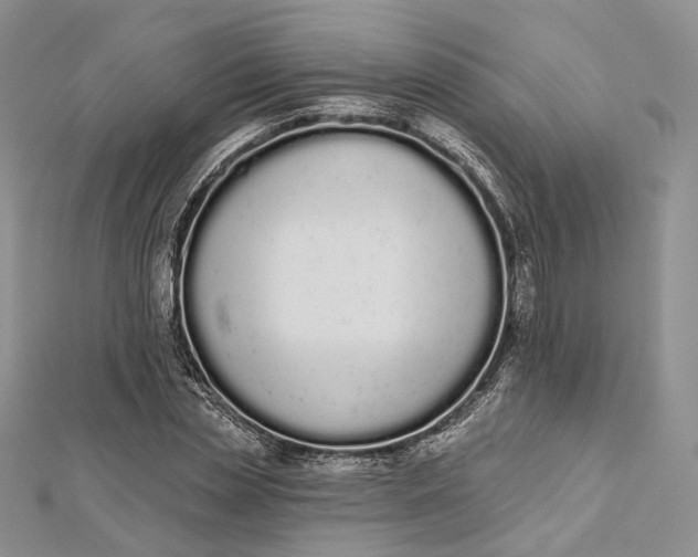 X0000112500829200908311450