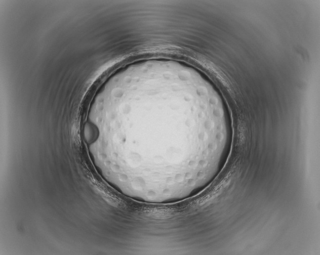 X0000112500830200908311450