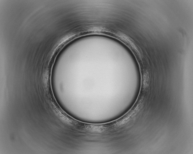 X0000112500831200908311450