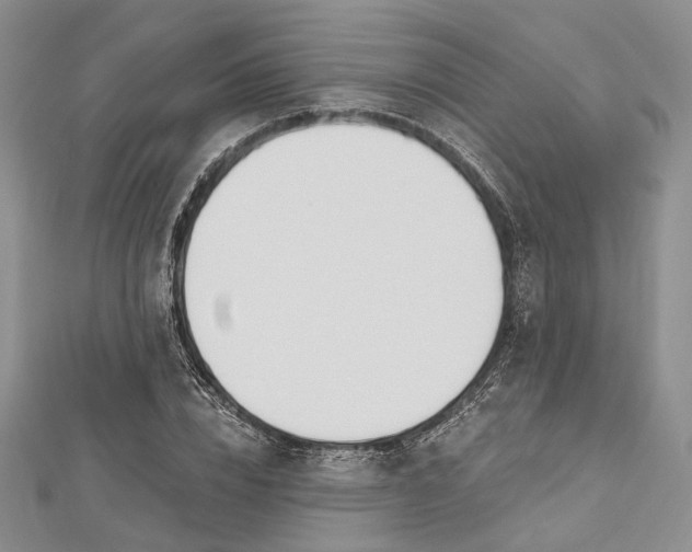 X0000112500832200908311450