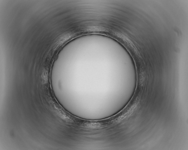 X0000112500833200908311450