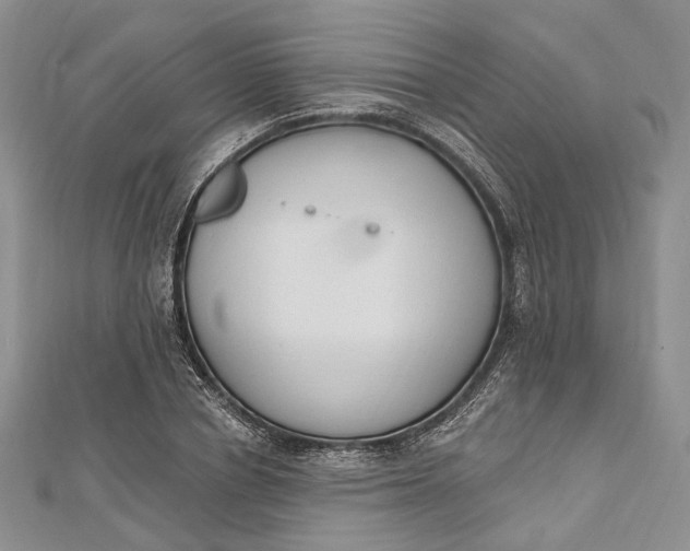 X0000112500834200908311450