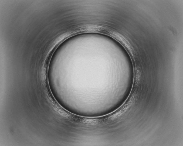 X0000112500835200908311450