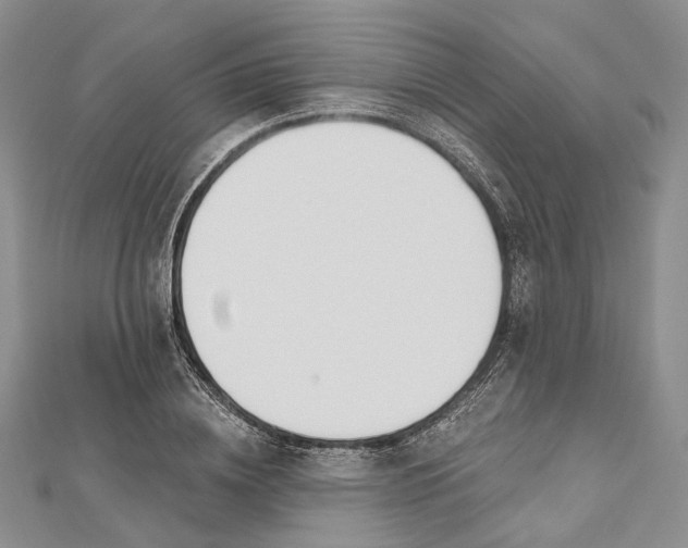 X0000112500836200908311450