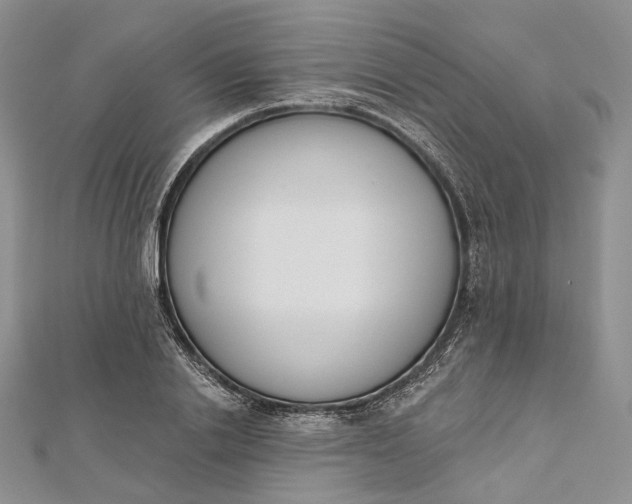 X0000112500838200908311450