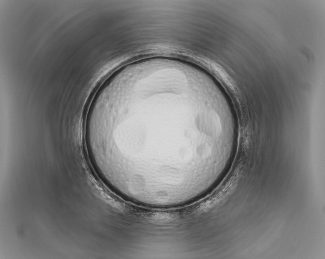 X0000112500839200908311450