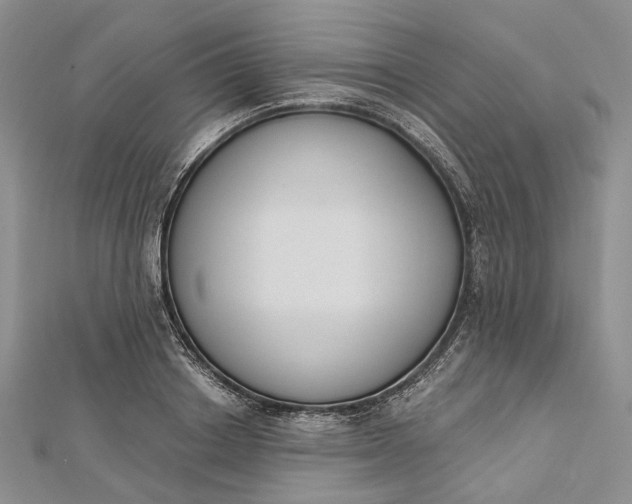 X0000112500842200908311450