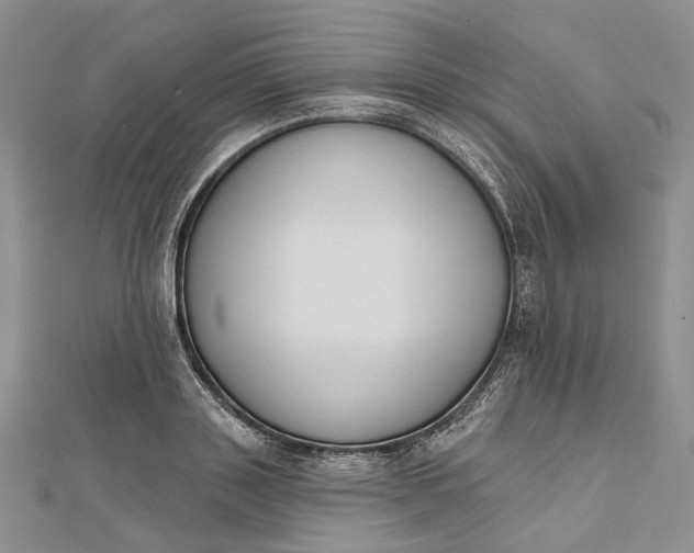 X0000112500843200908311450