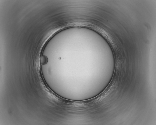 X0000112500844200908311450