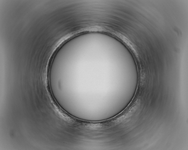 X0000112500845200908311450