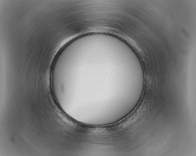 X0000112500846200908311450