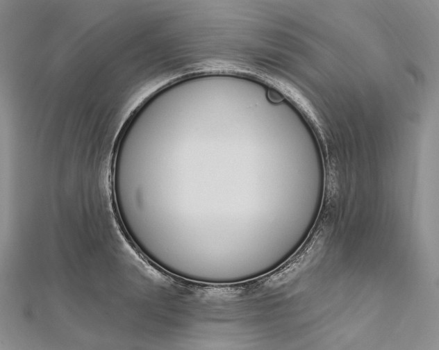 X0000112500847200908311450