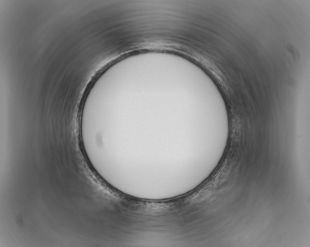 X0000112500848200908311450