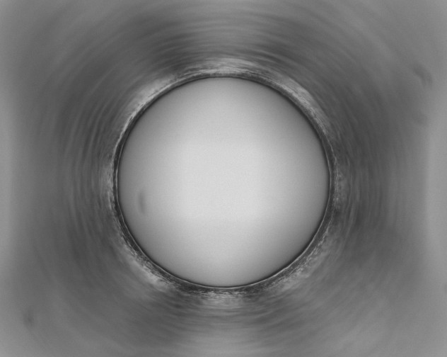 X0000112500850200908311450