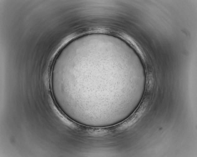 X0000112500851200908311450