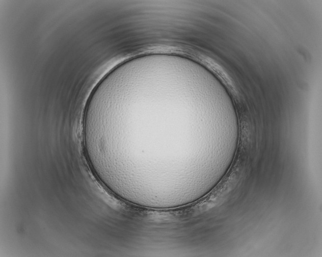 X0000112500852200908311450