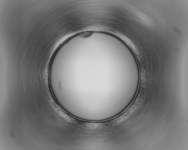 X0000112500854200908311450