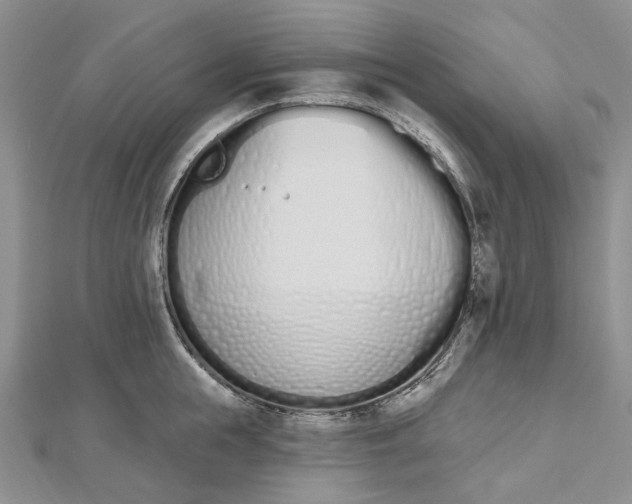 X0000112500855200908311450