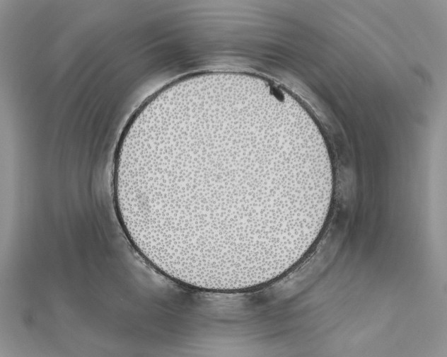 X0000112500856200908311450