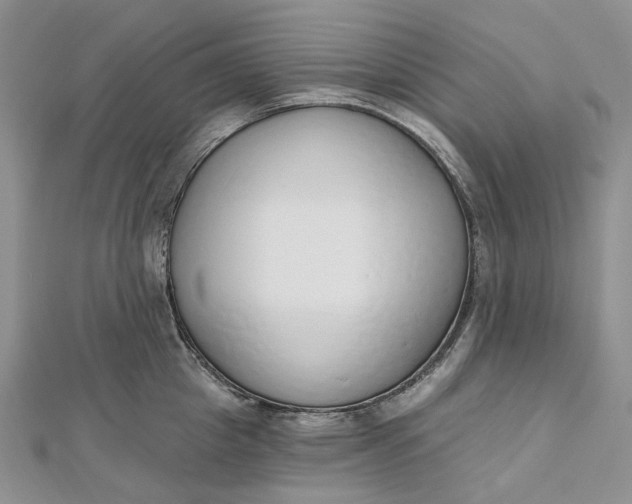 X0000112500857200908311450