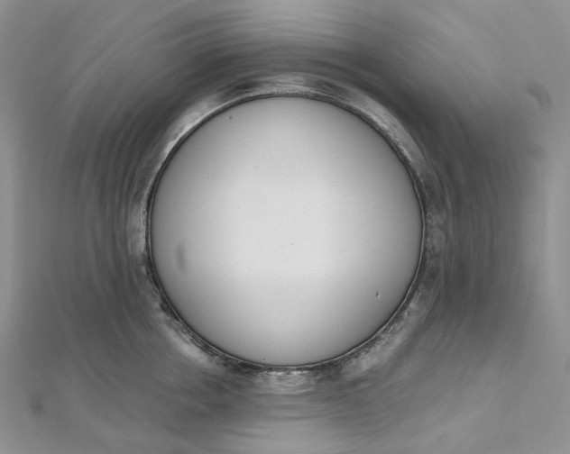 X0000112500858200908311450