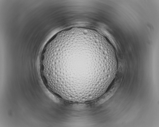 X0000112500859200908311450