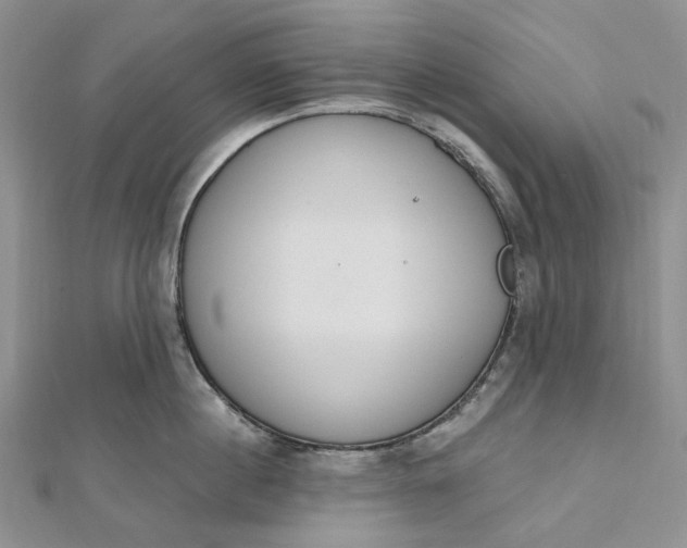 X0000112500860200908311451