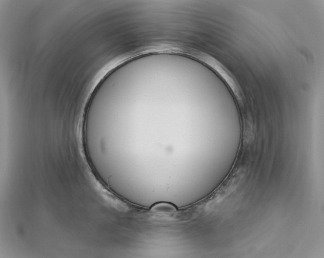 X0000112500861200908311451