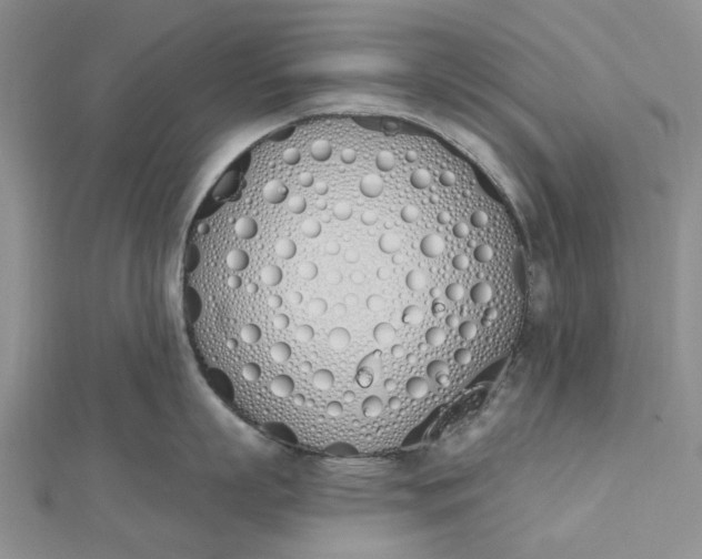 X0000112500863200908311451