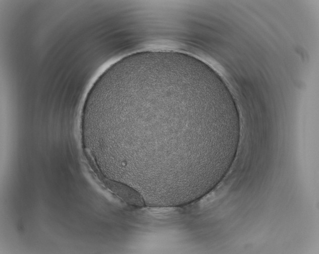 X0000112500864200908311451