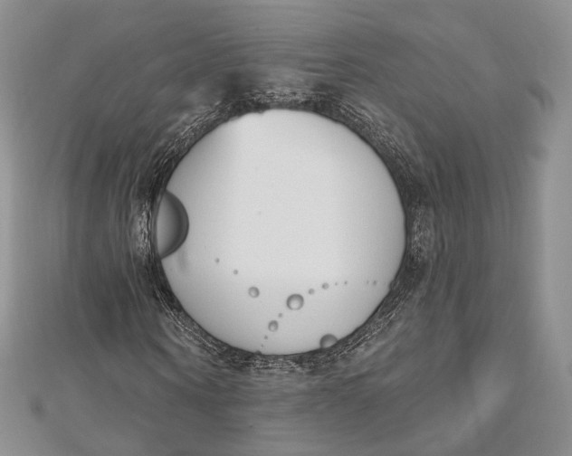 X0000112500866200908311450