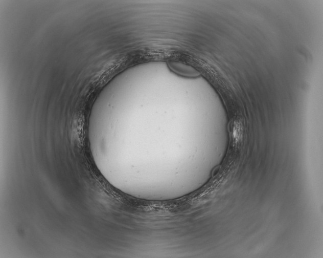 X0000112500867200908311450