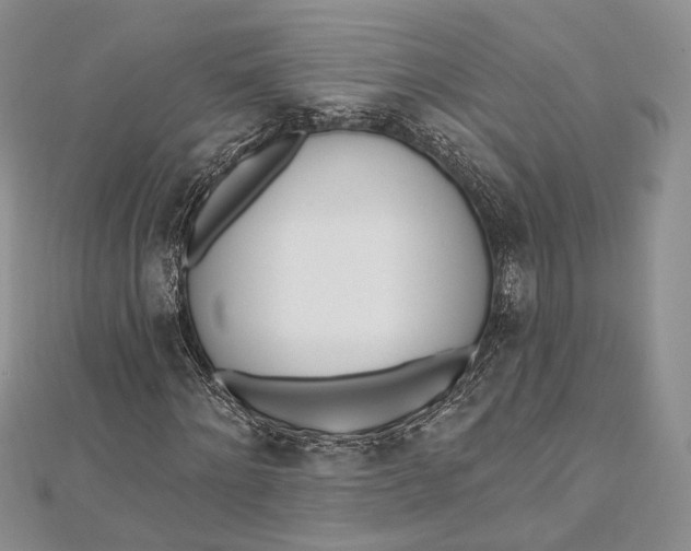 X0000112500868200908311450