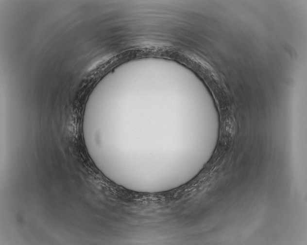 X0000112500869200908311450