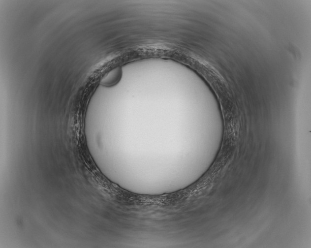 X0000112500870200908311450