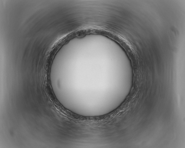 X0000112500872200908311450