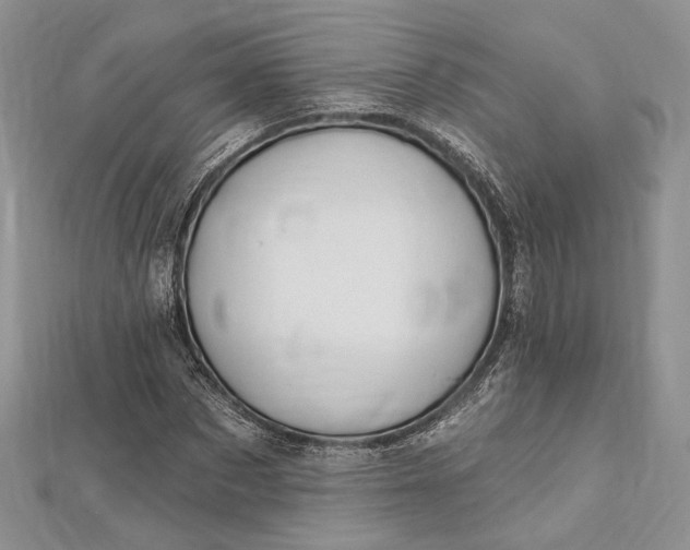 X0000112500873200908311450