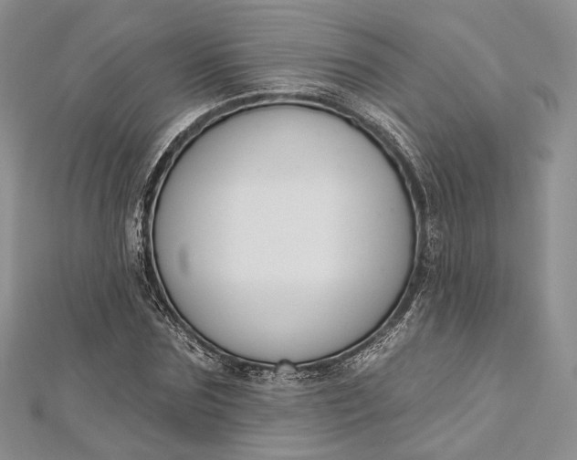 X0000112500875200908311450