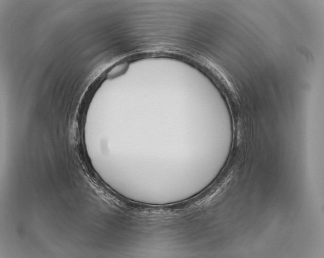 X0000112500876200908311450