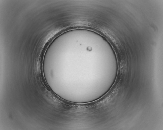 X0000112500877200908311450