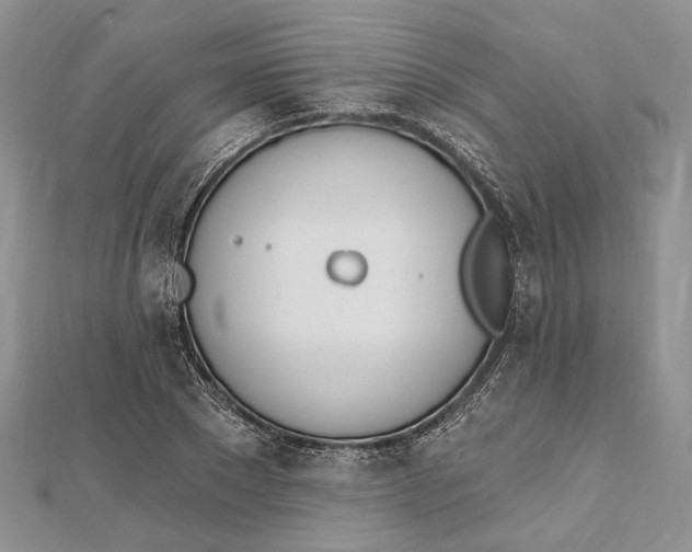 X0000112500881200908311450