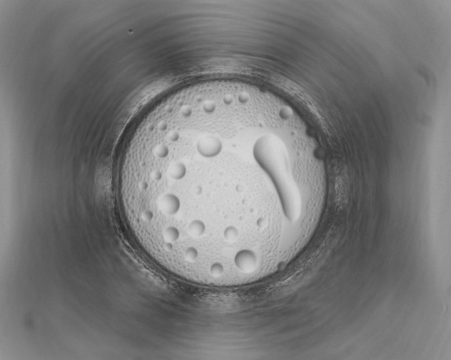 X0000112500882200908311450