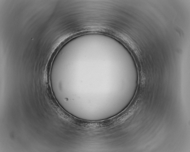 X0000112500883200908311450