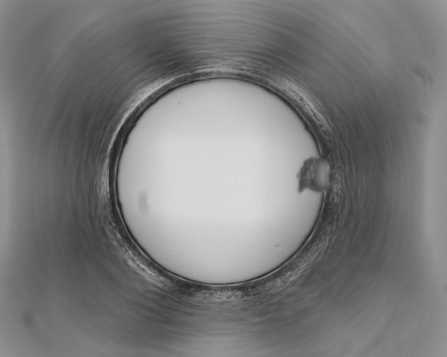 X0000112500884200908311450