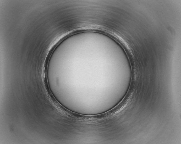 X0000112500885200908311450