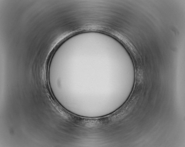 X0000112500886200908311450