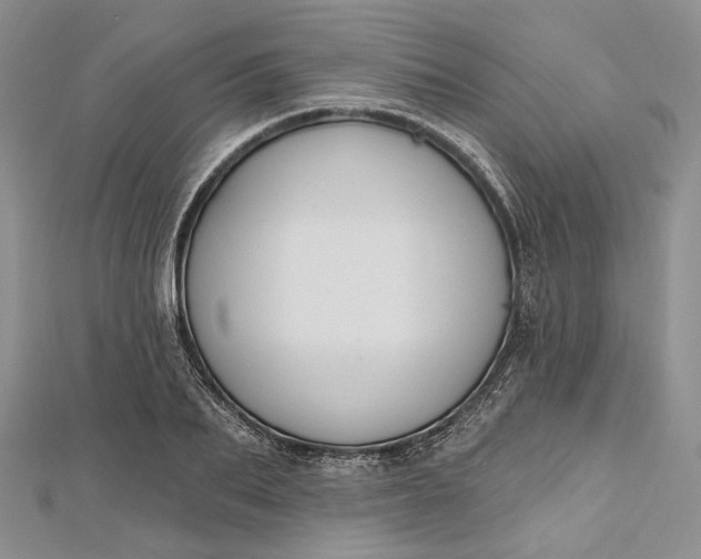 X0000112500887200908311450