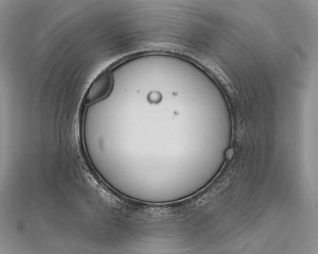 X0000112500888200908311450